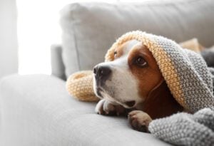 Stay Warm with Heating Maintenance from Master Services